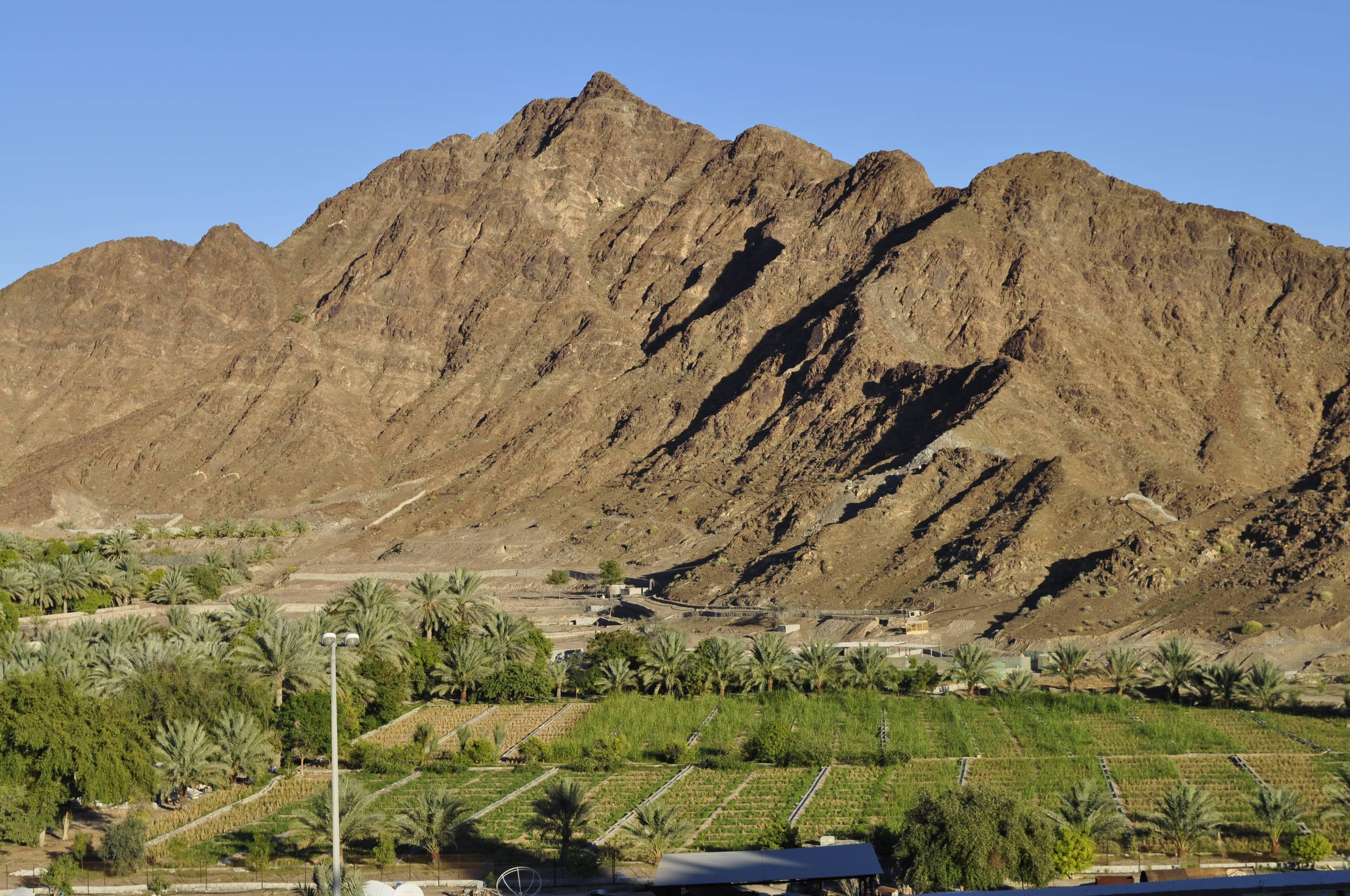 Fujairah City Tour Service